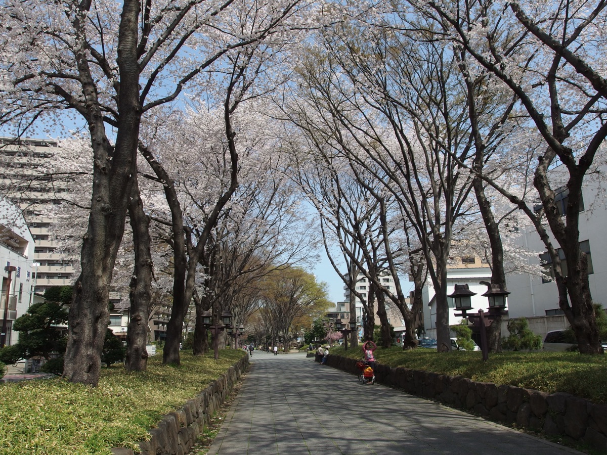 오미야 동네 사진