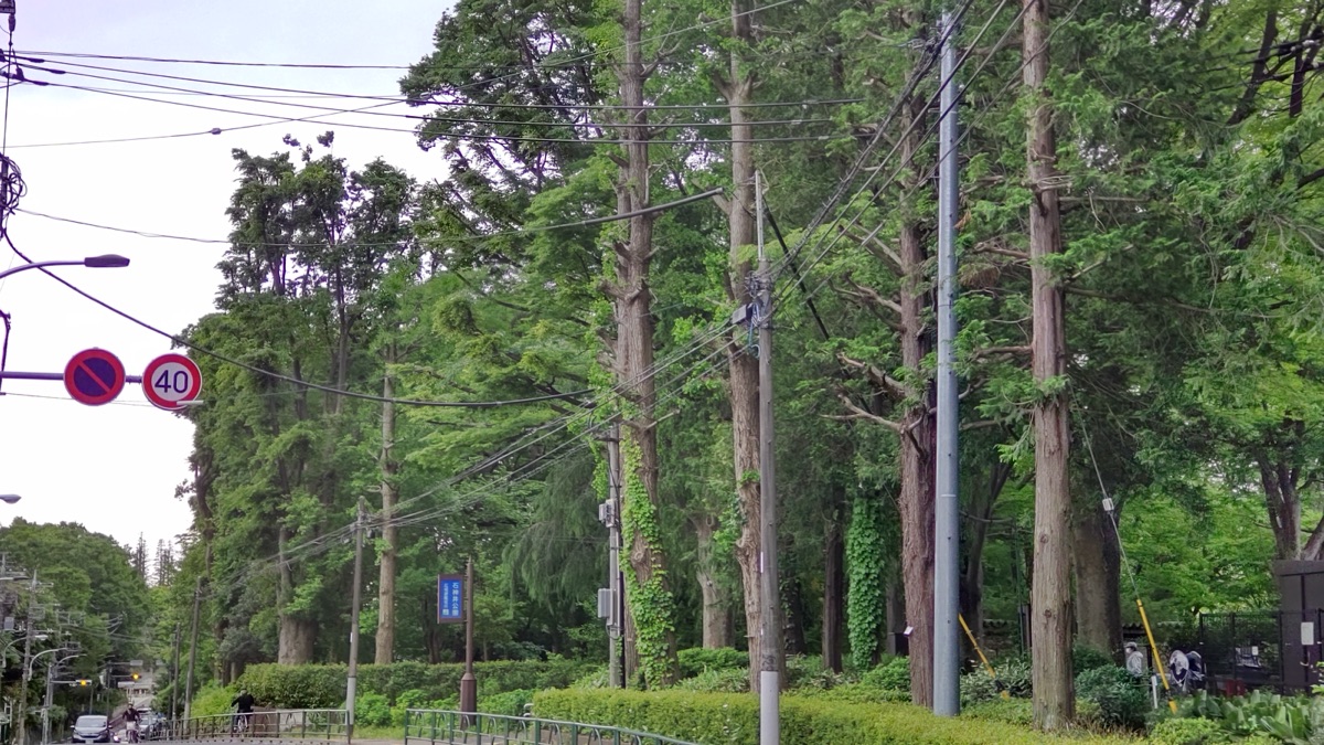 샤쿠지이코엔 동네 사진